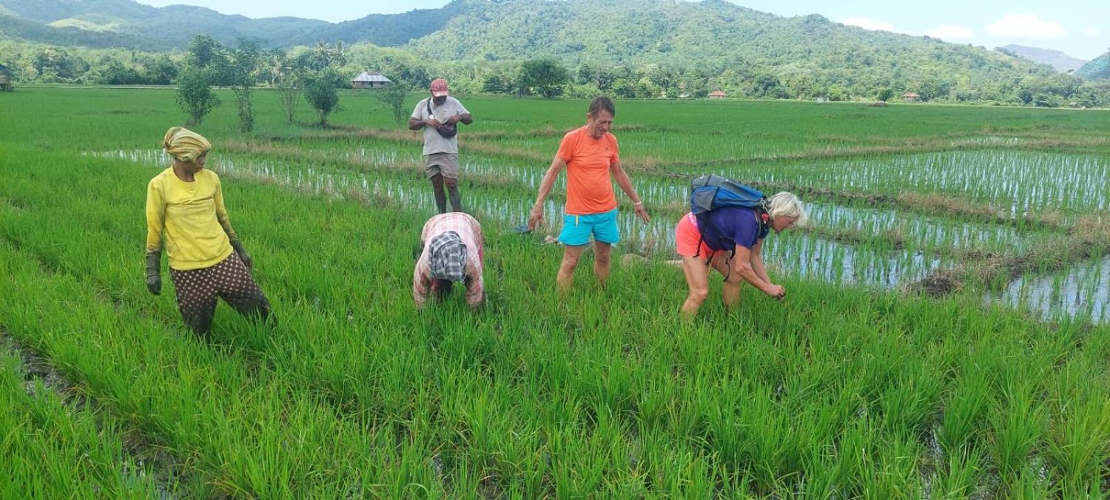 Inang Amang Homestay Labuan Bajo Luaran gambar